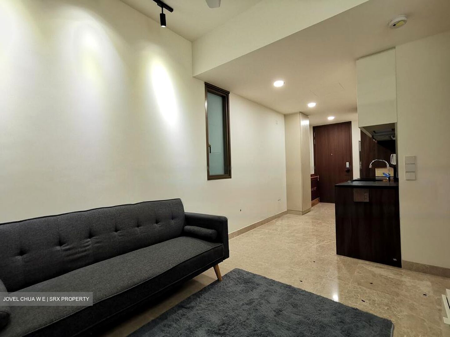 Park Place Residences At Plq (D14), Apartment #473899821
